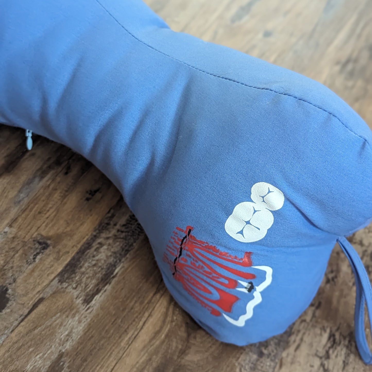 Educational Adult Pillow